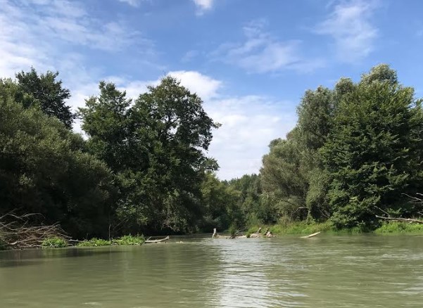 Splav Malého Dunaja leto 2020