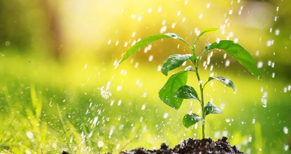 Pripravte si dažďovú vodu na zavlažovanie jarnej záhrady