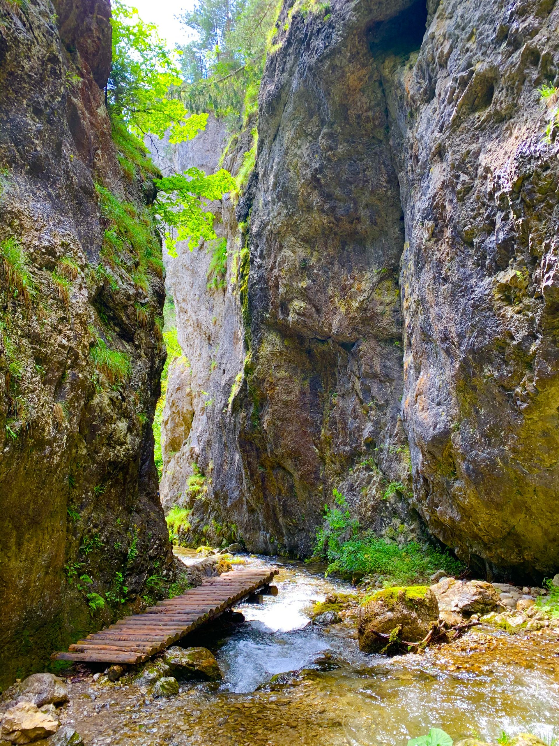 Tipy na výlety Slovensko. Prosiecka a Kvačianska dolina