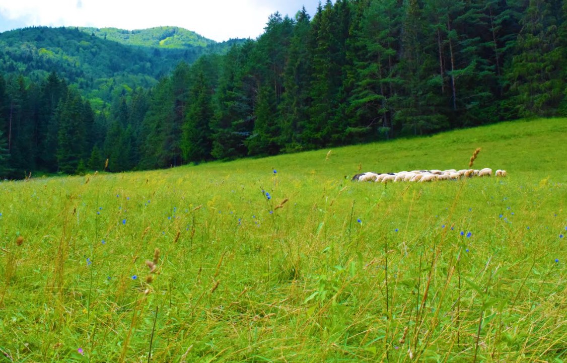 Tipy na výlety Slovensko Čutkovská dolina a Vlkolínec