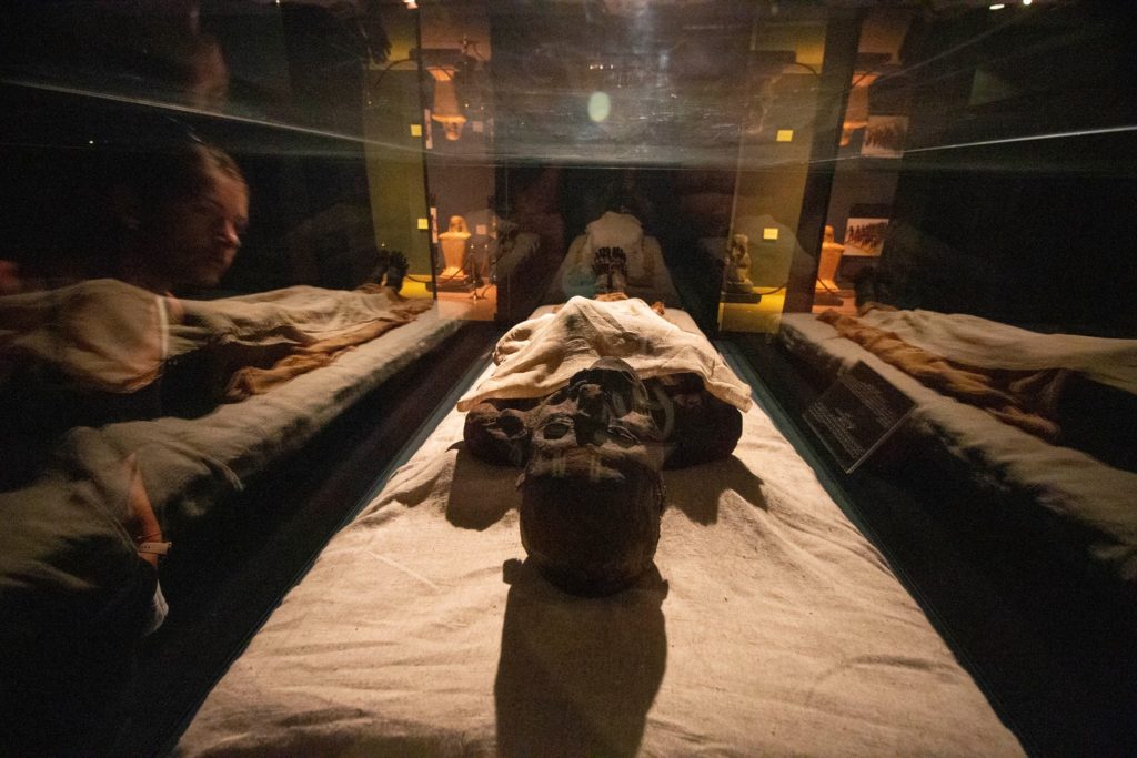 Hororová fotka z múzea v Luxore. V hlavných úlohách: Mŕtvy faraón: Ramzes I.