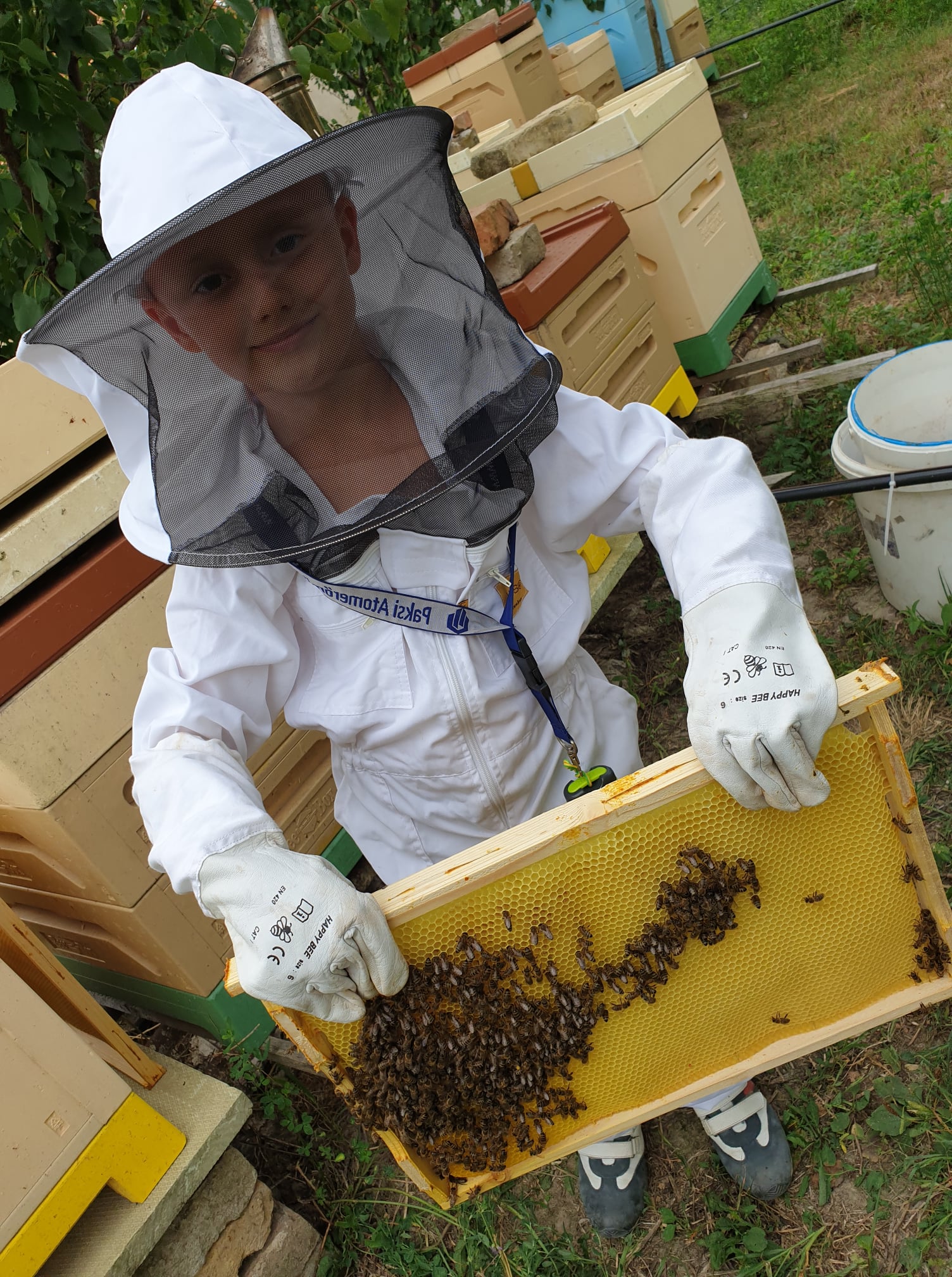 Kvalitný med priamo od včelára - My, Asbóthovci, vyrábame etický med. Elixír na imunitu je top produkt.