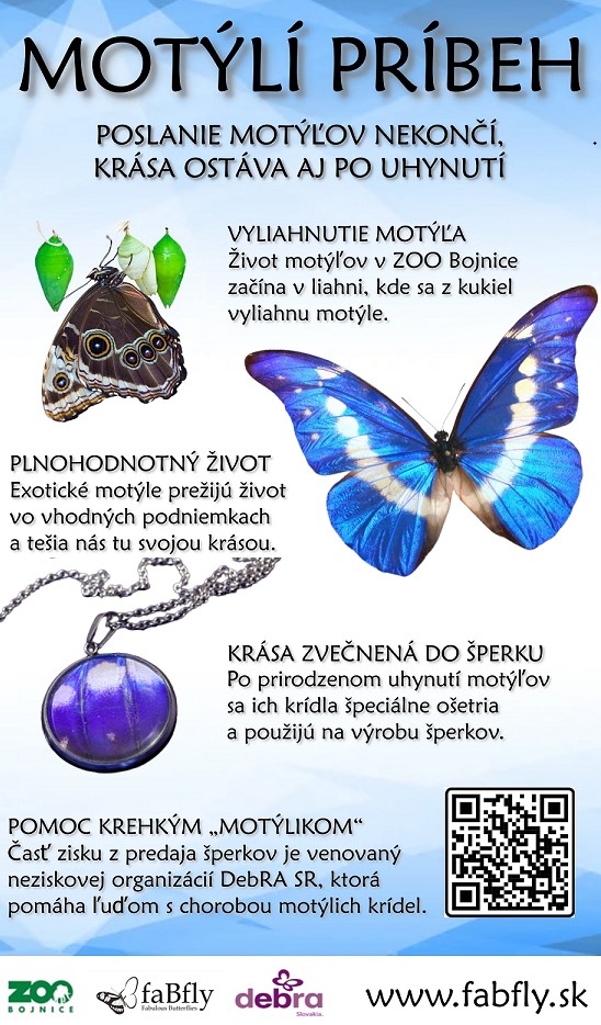Šperky z motýlích krídiel pomáhajú